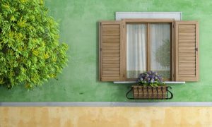 wood clad windows